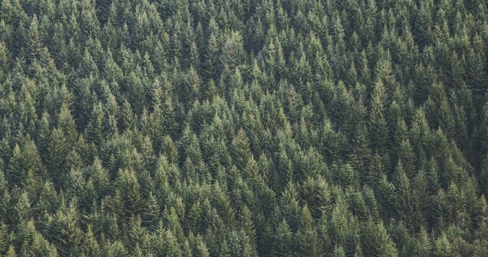 Office-retail-idp-broker